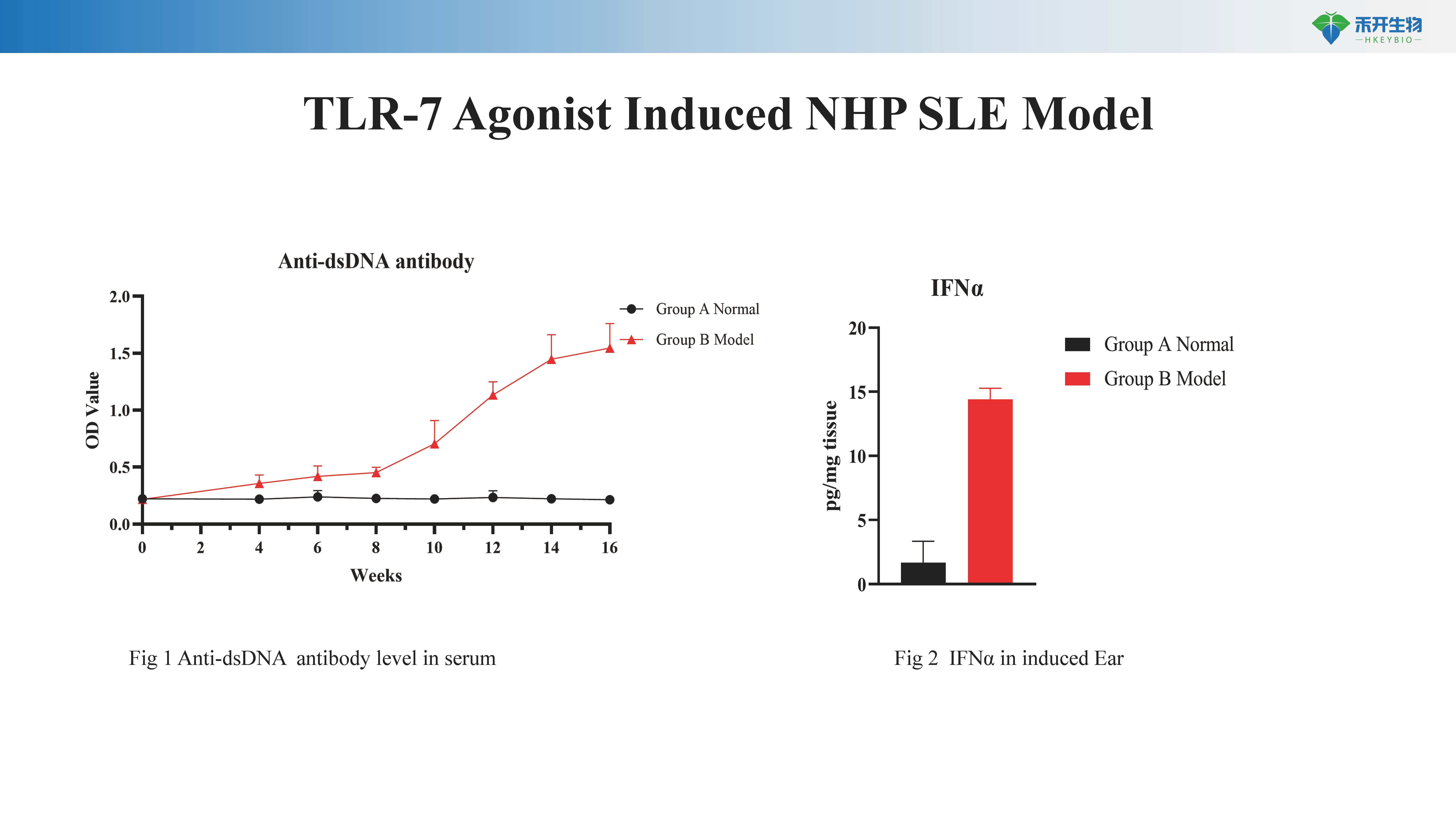 NHP 系统性红斑狼疮 SLE模型介绍 20230710-BW_20240612112314