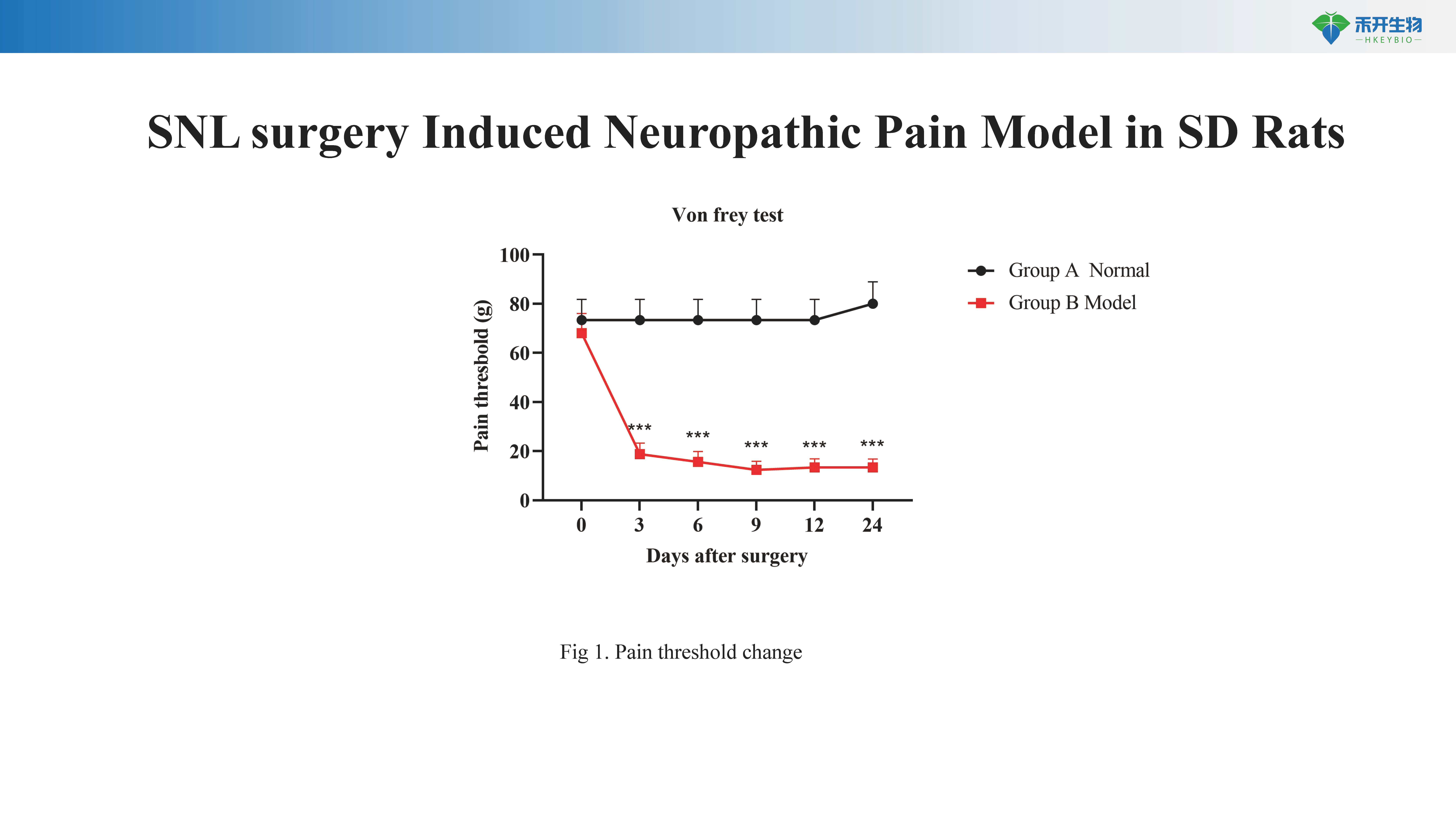 神经病理性疼痛 模型介绍-20240426_20240618091304_页面_2