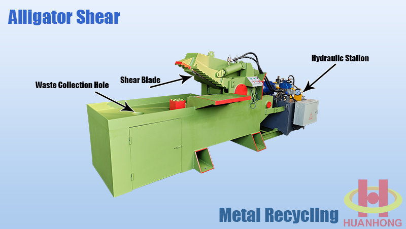 Q43-100 alligator tondendas SINGULA 1