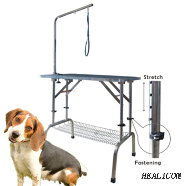 WT-55 Animal Hospital Equipment Store Personnalisez la table de toilettage pour animaux de compagnie en acier inoxydable