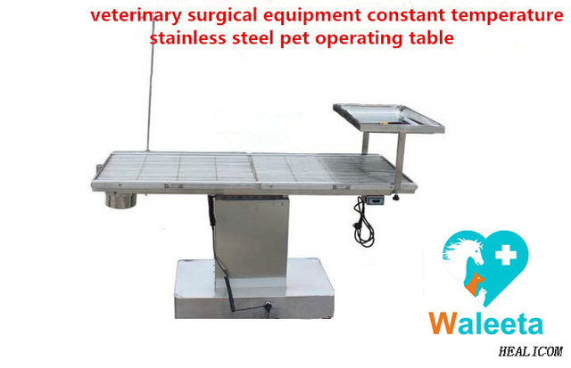 Mesa de operación de animales domésticos de temperatura constante automática de acero inoxidable para clínica hospitalaria WT-04 de alta calidad