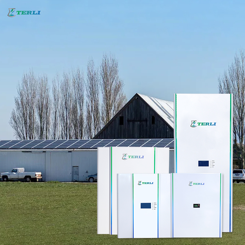 10KWH Power Wall-batterijen Energieopslagsysteem voor thuis