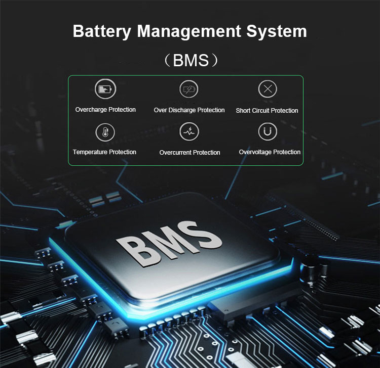 Che cos'è il BMS nella batteria lifepo4? - TERLI New Energy Technology Co.,  Ltd.