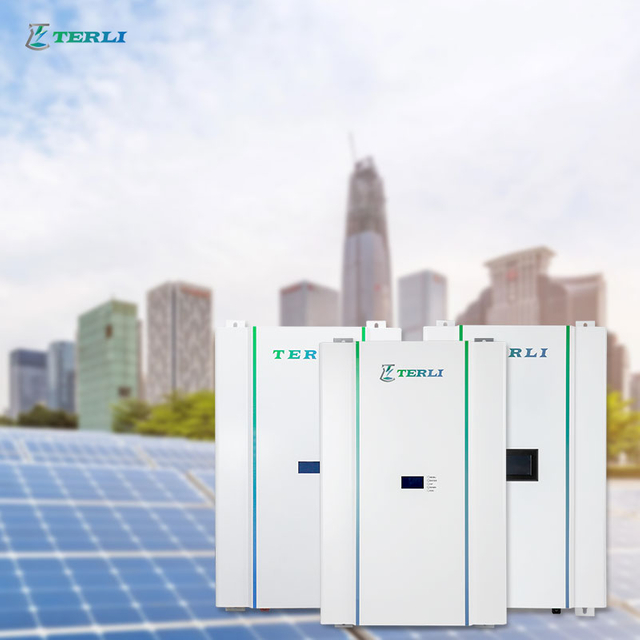 Deep Cycle OEM 48V 12 Volt lithiumbatterij