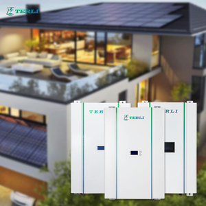 LFP OEM 48V lithiumbatterij