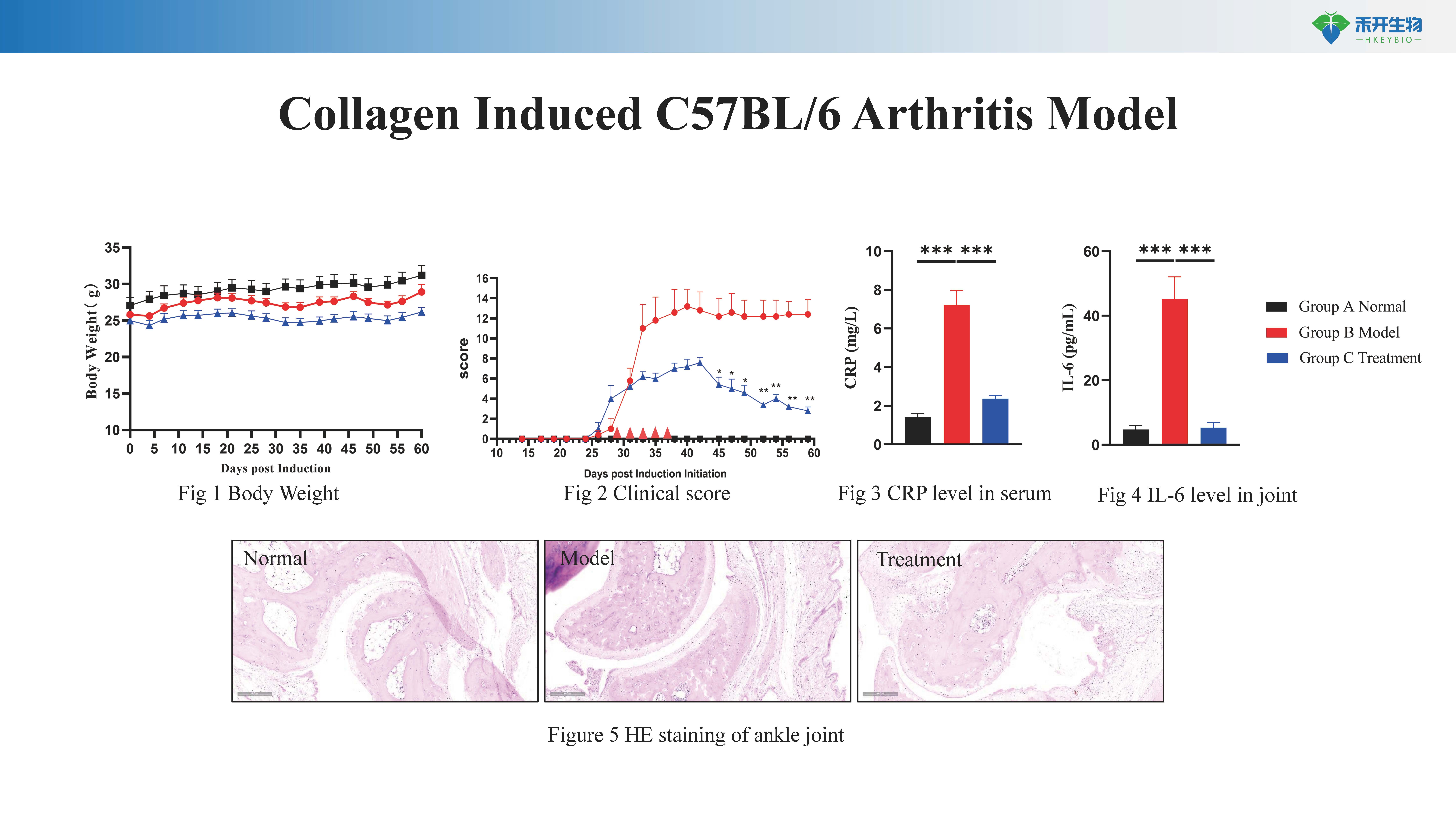 类风湿关节炎 CIA 模型介绍 -20230714_20240617152222_ 页面 _1