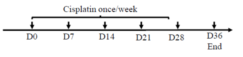 89c02b6f540f5e0f0e8b338c052037e