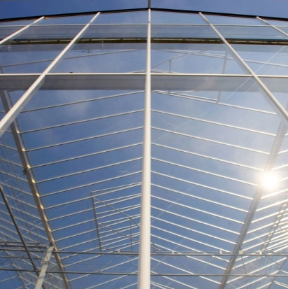 Vidrio AR para invernaderos