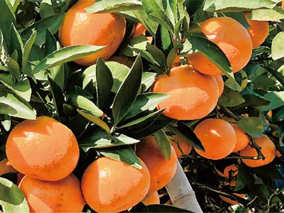 برنامه های کاربردی_03