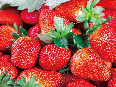 Fertilizante de soluci&oacute;n de prote&iacute;na inmune antiestr&eacute;s vegetal_06