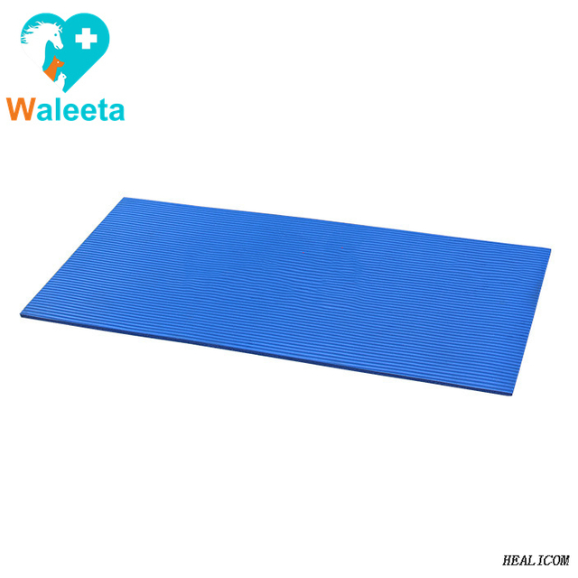 Thiết bị WJD-01Pet Thép không gỉ 304 Bề mặt phẳng lớn siêu mỏng, siêu mỏng Cân động vật kỹ thuật số điện tử