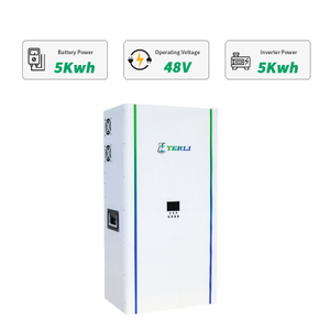 48V 5KW huishoudelijke alles-in-één zonne-energieopslag Ess Terli LiFePO4-batterij