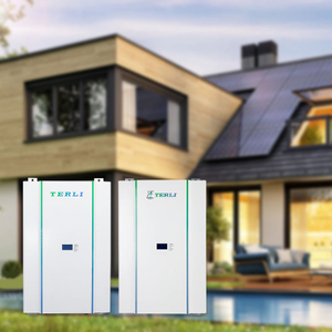  10 Kwh Powerwall-huissysteem met lange levensduur 48V 150ah 50ah zonne-opslagbatterij bms 48v-systeem