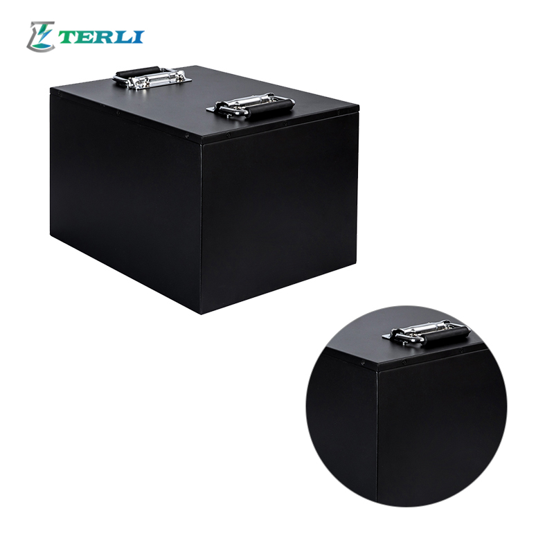 Oplaadbare OEM 24V Lithium Batterij Toerwagen