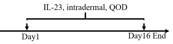 c572e32eb5d3492638d42a42c5f3143