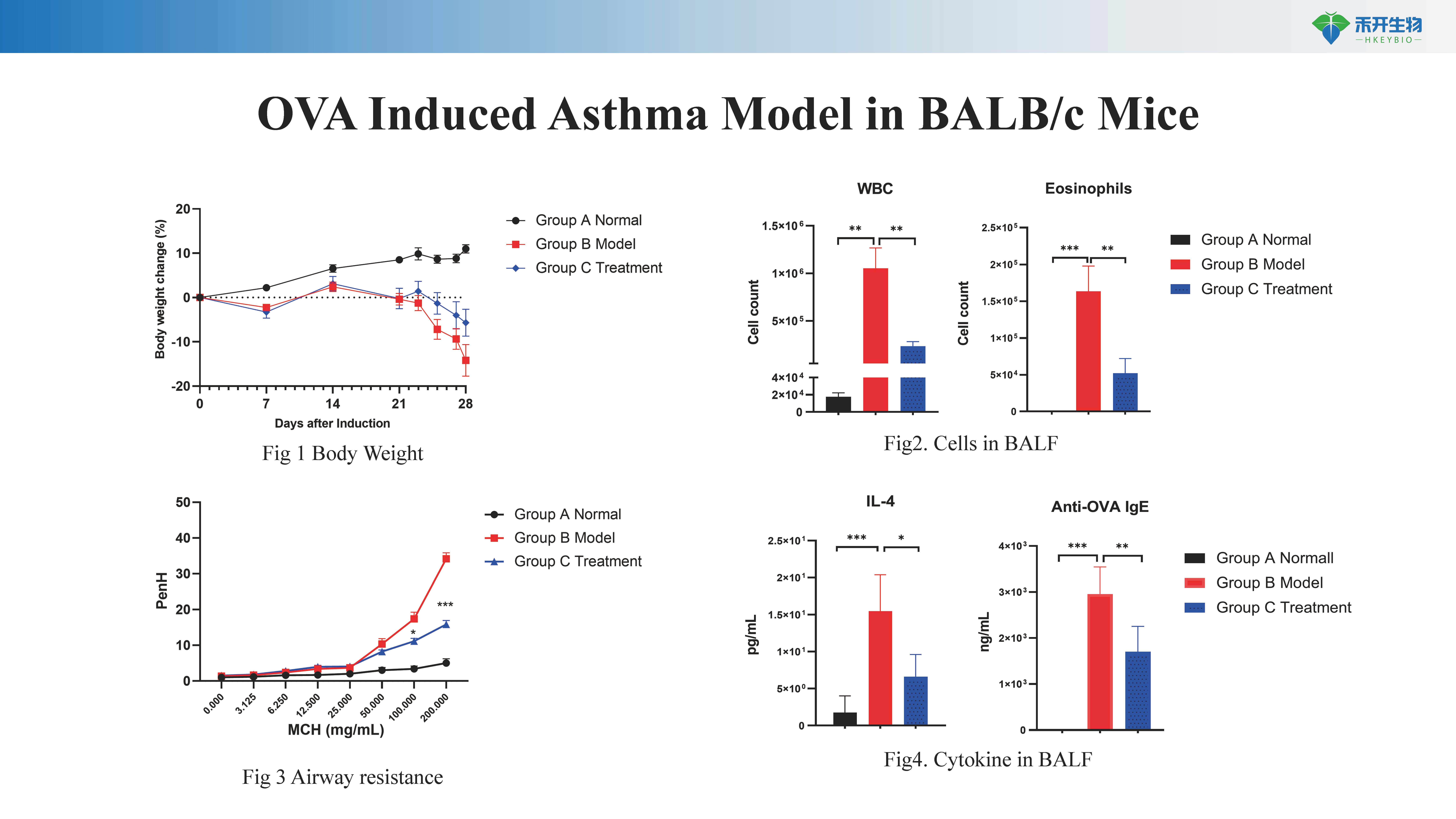 哮喘 astma模型介绍-20231026_20240614101751_页面_2
