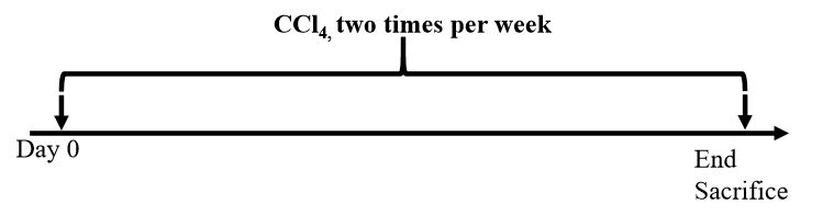 2d9b2dc1e22bc11ec769cf526fe023a