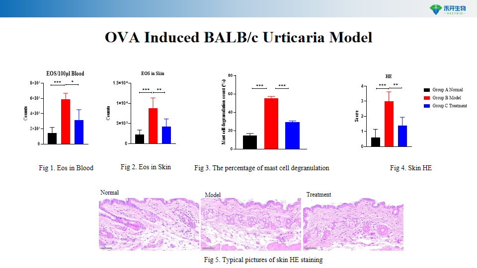 b574c6cf9e5637d862e0c086a4e3fc8
