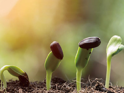 진드기 방제를 위한 특별_03