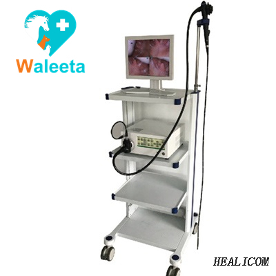 Высококачественный ветеринарный эндоскоп с 19-дюймовым ЖК-монитором WTE-9000A с тележкой для видео и источником света