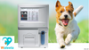 Diagnosemaschine Blutanalysesystem KT-6300 VET Animal Veterinary Blood Analyzer Auto Hämatology Analyzer