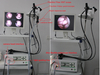 Veterinario elettrico dell'attrezzatura medica HVET-9000A/video endoscopio veterinario per l'animale