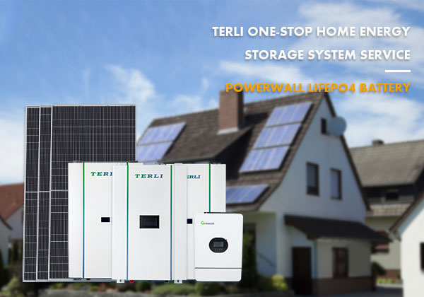 Terli Lifepo4 Hoogwaardige productienormen voor batterijen