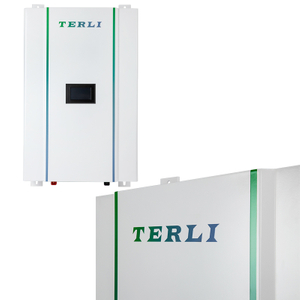 OEM-lithiumbatterij van 12 volt met lange levensduur