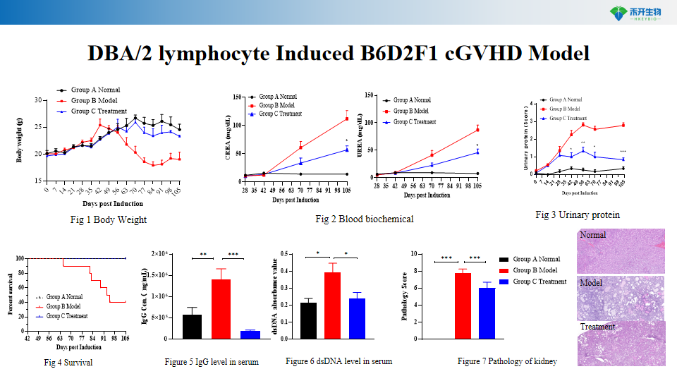 686a64bc391b5d81b21dc6bbf93d909