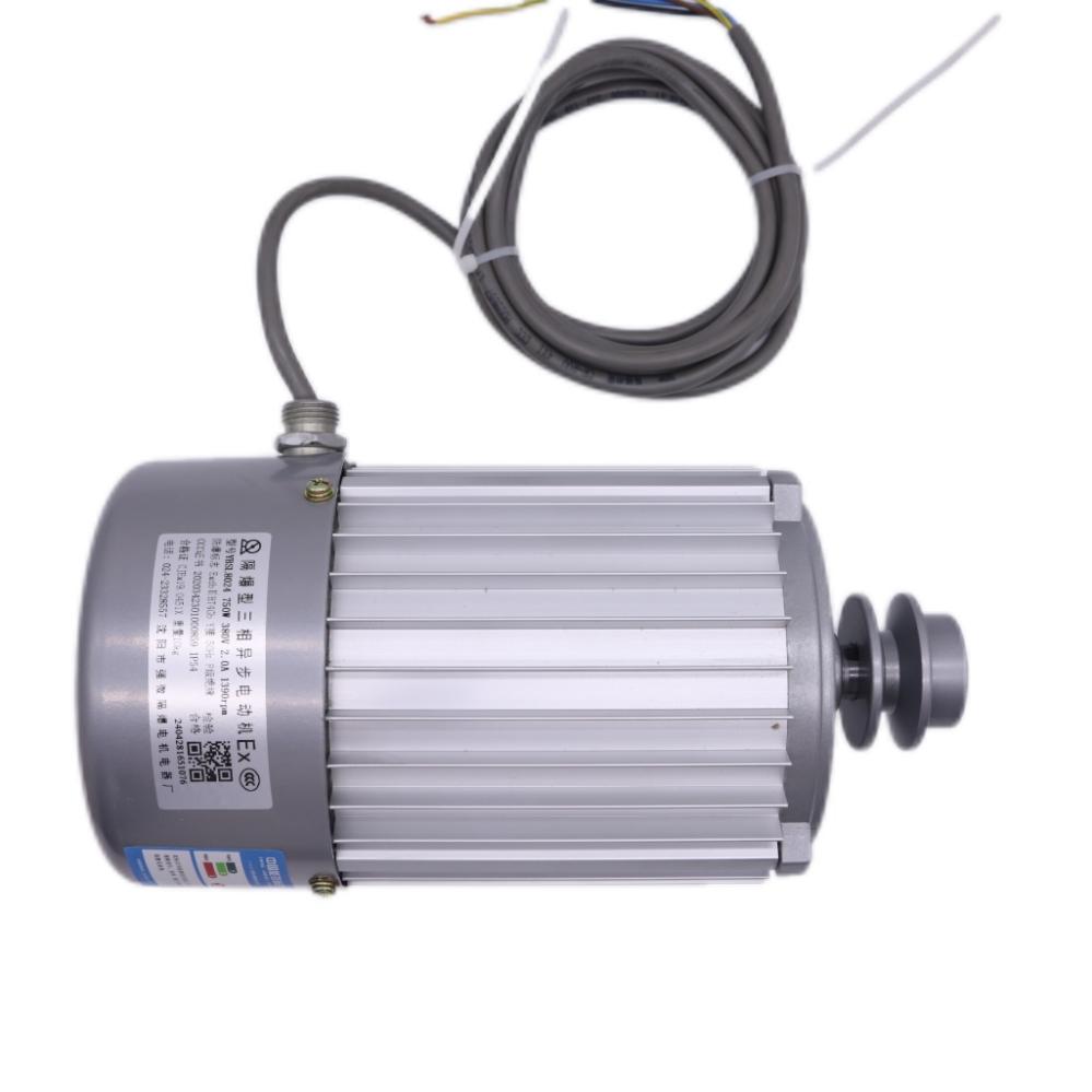 380V强微防爆电机J00501000 (10)