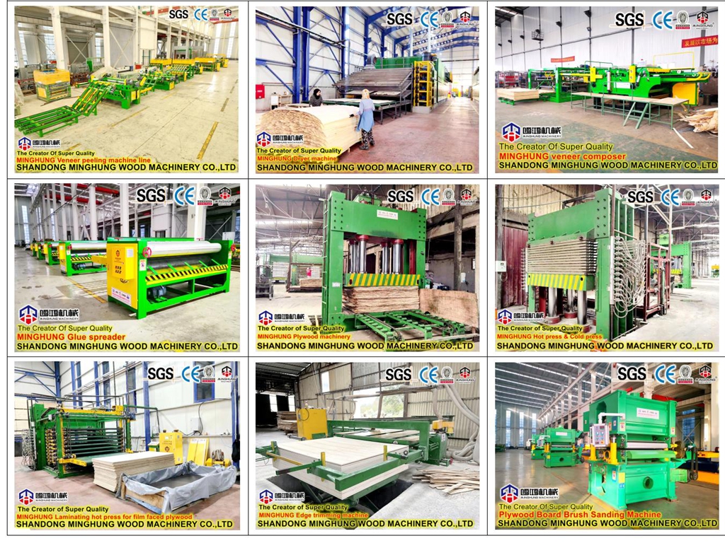 China-Sperrholzproduktionslinie