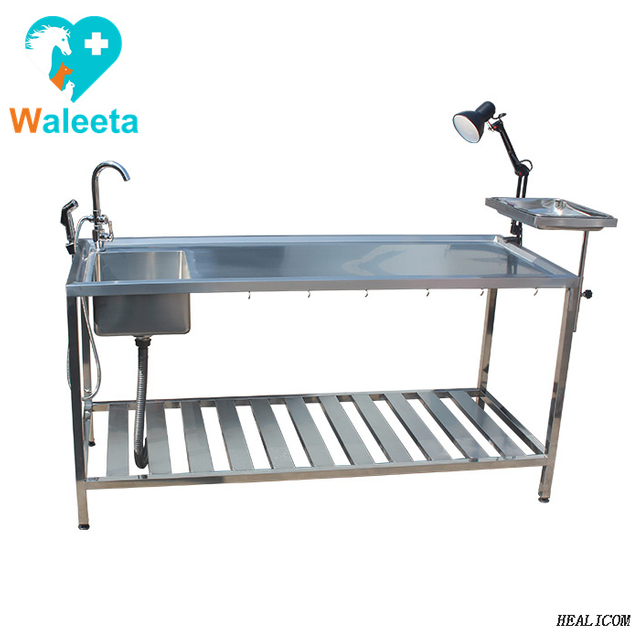 Prezzo franco fabbrica Attrezzatura veterinaria in acciaio inossidabile WT-38-1 Tavolo per dissezione anatomica per animali
