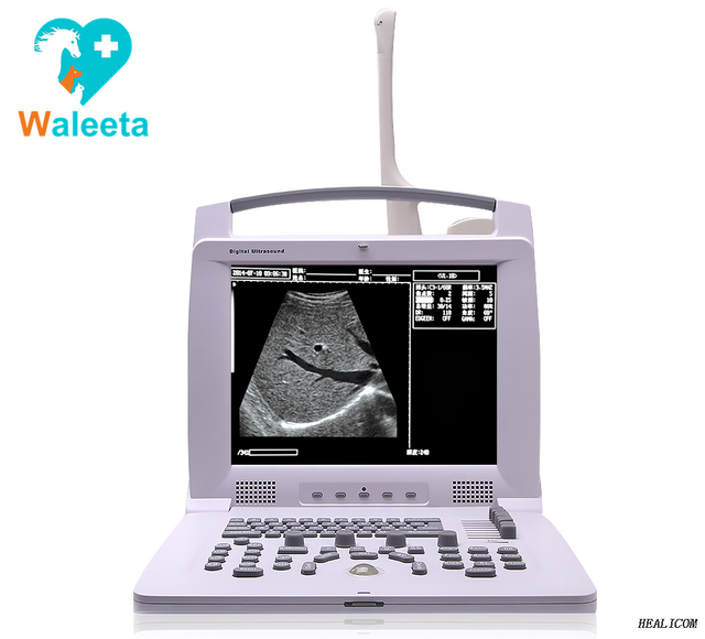 Vente chaude HV-3018 Vet utilise une machine de scanner à ultrasons modèle N/B portable entièrement numérique