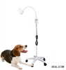 Lampe d'examen d'opération de HLCD001 LED médicale vétérinaire de prix bon marché pour l'animal