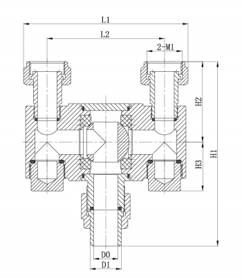 dsq-25
