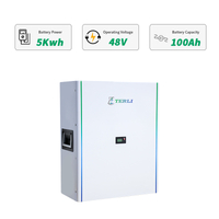 het Lithium Ionenbatterijhuis 5kwh Powerwall van 48v 100ah LiFePO4 NCM voor Zonnestelsel