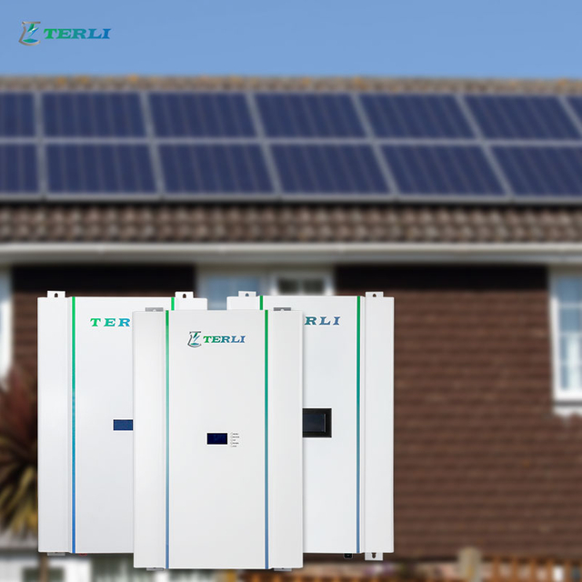 Lange levensduur OEM 24v lithiumbatterij 48V