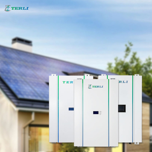 Oplaadbare OEM 24v 48V lithiumbatterij