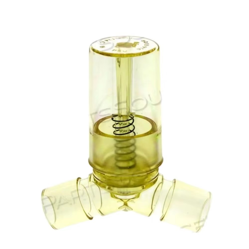 S17c95e284ca54bd5a2ab9a807d7e6c9bT