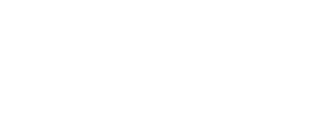 INSTRUMENTS M&Eacute;DICAUX SUNNYWORLD Co., Ltd. 