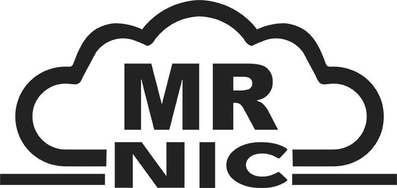 Kaiwhakarato taputapu Mr Nic Vape