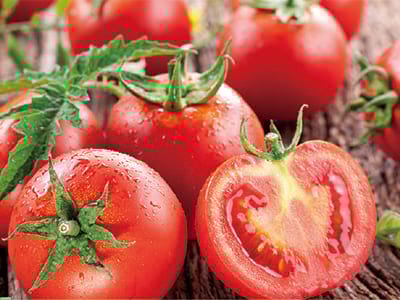 Fertilizante Glucano Boro Molibd&ecirc;nio Zinco_08