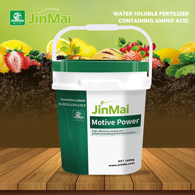 Soluzione di radicazione e crescita ad alta efficienza