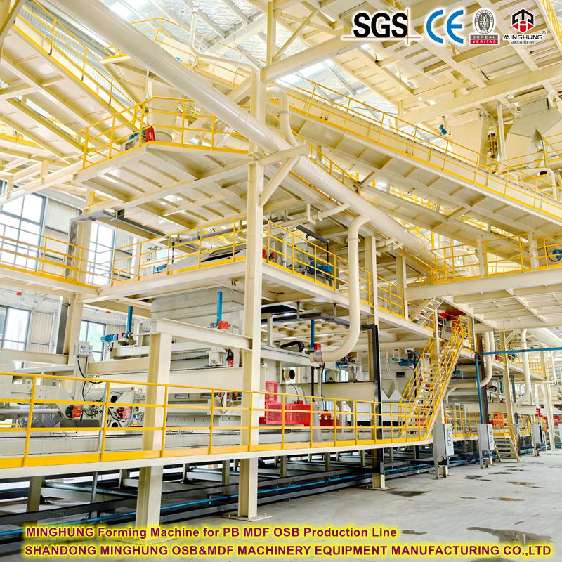 Formación de la máquina PB OSB MDF Línea de producción