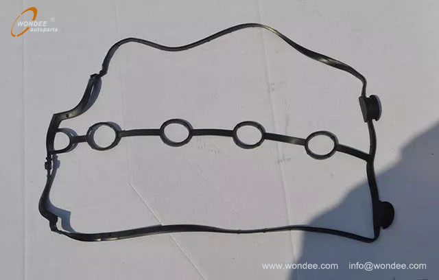 spark plug installation hole (2)
