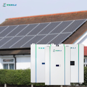 LFP hoogwaardige 24v 48V lithiumbatterij