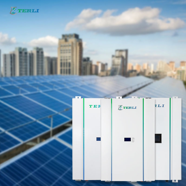 LFP OEM 48 Volt Lithium Batterij powerwall