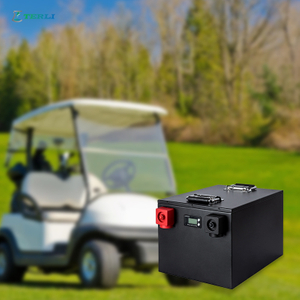 Energy OEM 24V lithiumbatterij voor golfkar