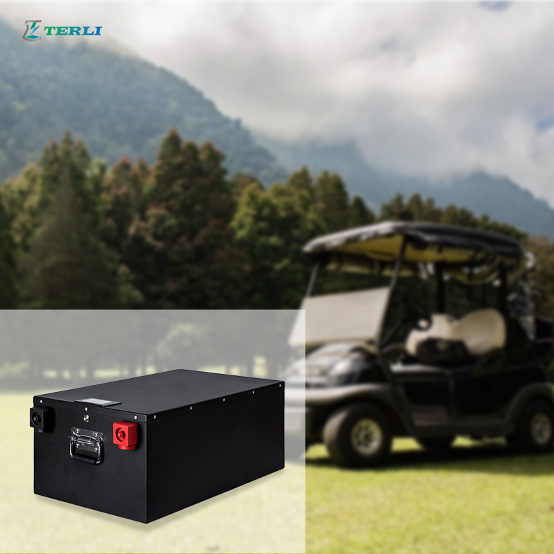 Oplaadbare fosfaat 48V lithiumbatterij