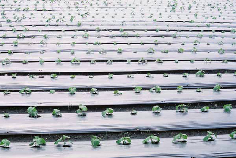 Film Woven Bag Cleaning System ၏ အထွက်အသေးစိတ်